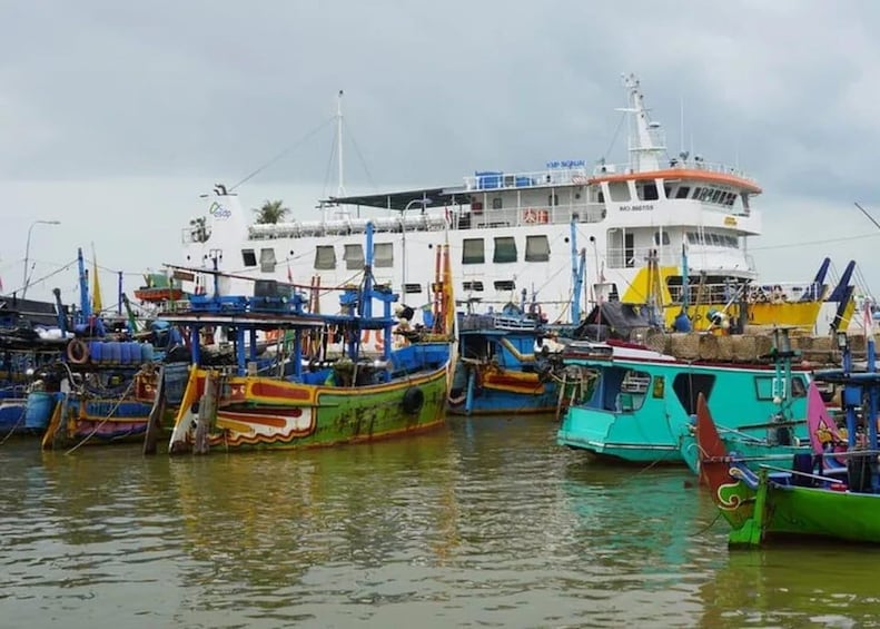 A harbor with several colorful boats docked, a large white ship in the background, and a cloudy sky. 3
