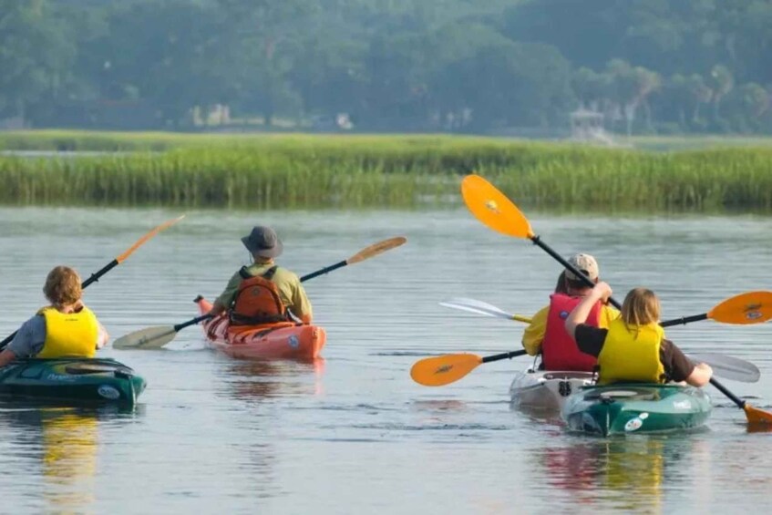 Four people kayaking on a calm river surrounded by lush greenery. 1