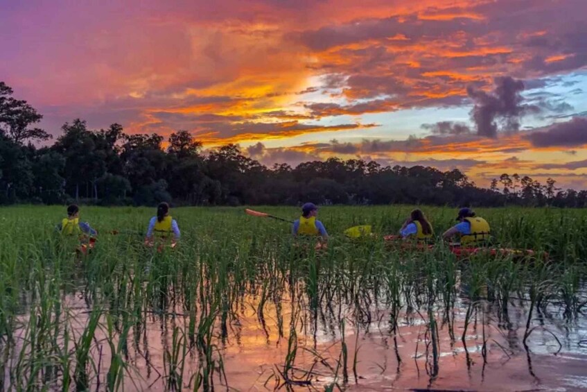 A group of people in a field at sunset. 3