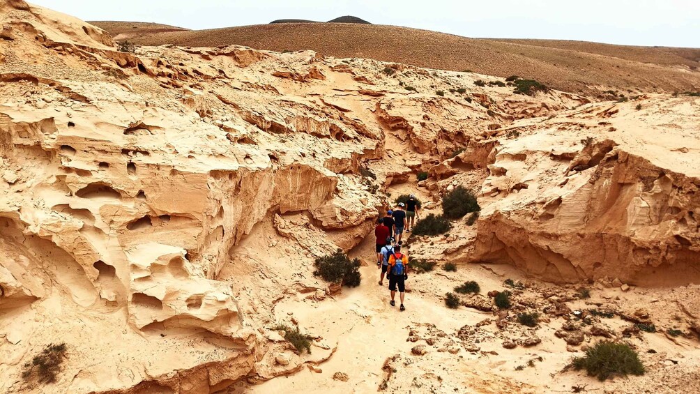 A group of hikers on a rocky trail in a desert landscape. 5