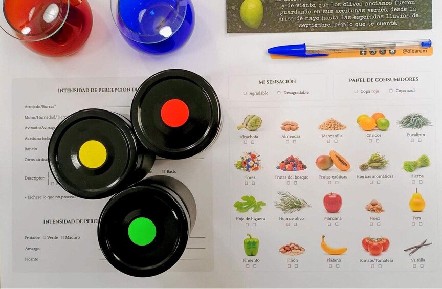 A sensory evaluation form with three black buttons, each with a different colored indicator. 5