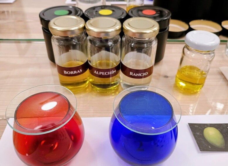 Three glass jars with colored liquids, labeled Borras, Alpechín, and Rancio, and two glass containers with red and blue liquids. 4