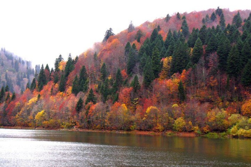 A lake surrounded by a forest with autumn foliage. 2