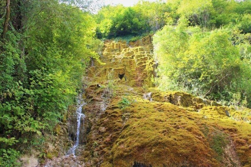 A waterfall cascading over moss-covered rocks, surrounded by dense green foliage. 3