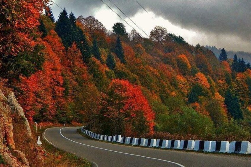 A winding road through a forest with autumn foliage. 1