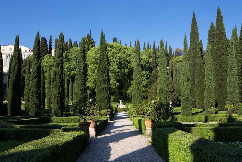 A formal garden with a gravel path, neatly trimmed hedges, and tall cypress trees. 5
