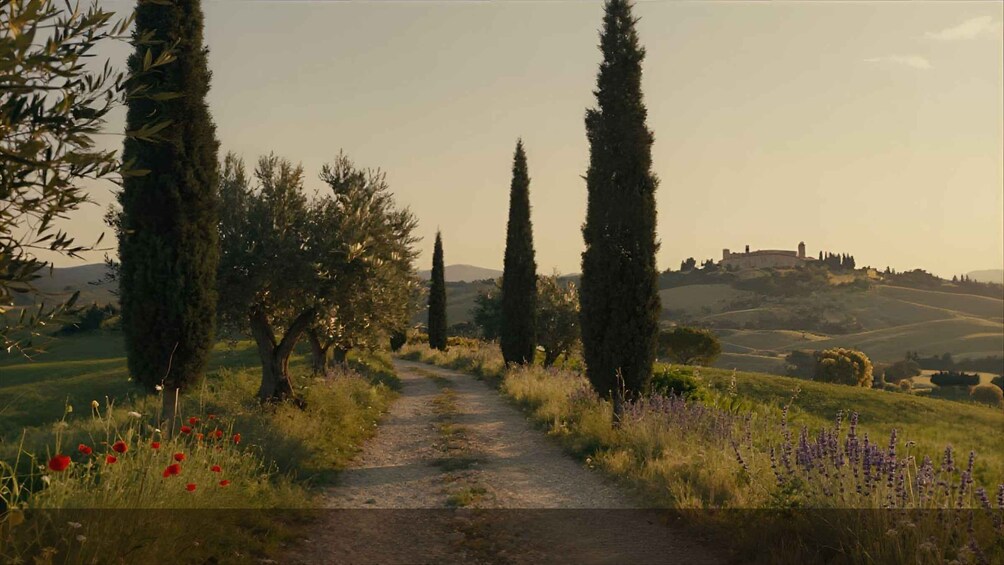 A rural path flanked by tall cypress trees, leading to a distant hill with a castle-like structure. 1
