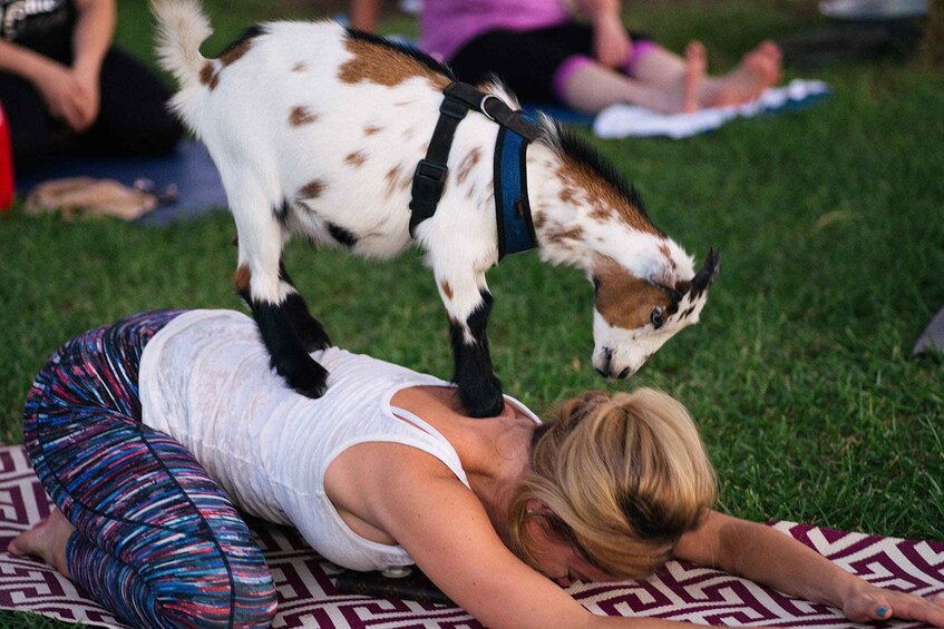 A person lying on a patterned blanket outdoors. 4