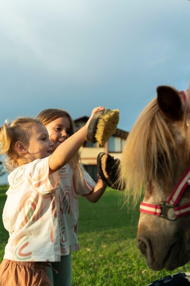 Two children brushing a horse's mane. 4