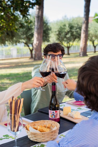 A group of people toasting with wine glasses at an outdoor table with a bottle of rosso verdone, cheese, and bread. 4
