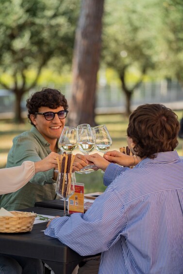 People toasting with wine glasses at an outdoor table. 3