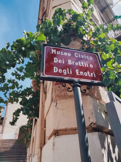 Cosenza: Museum of the Brettii and Enotri Entry Ticket 1