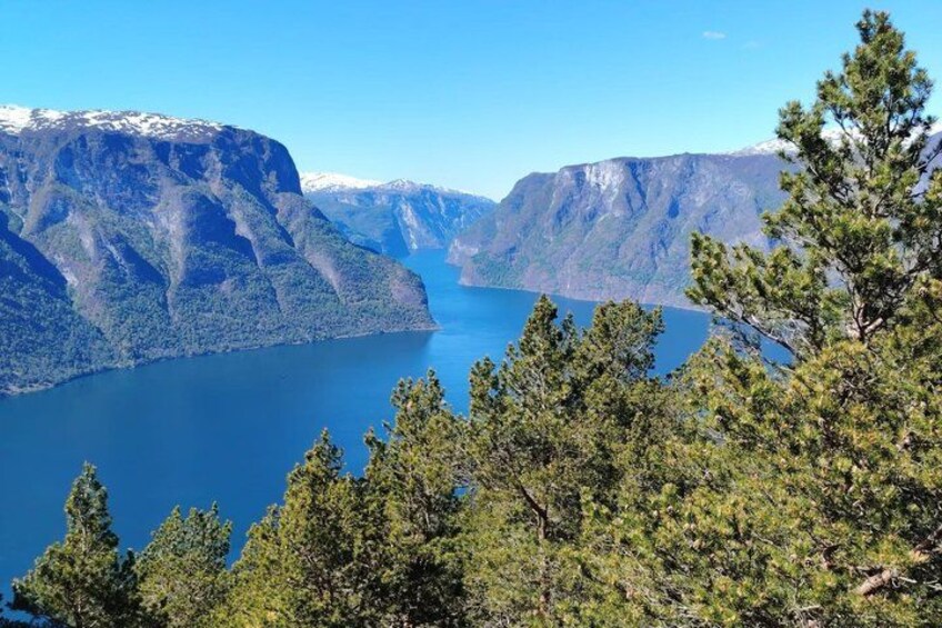 A mountainous landscape with a lake and coniferous trees. 1