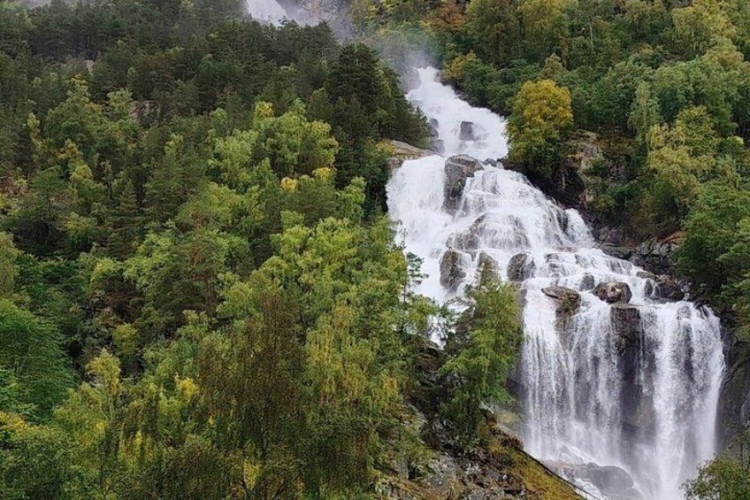 A waterfall cascading through a dense forest. 5