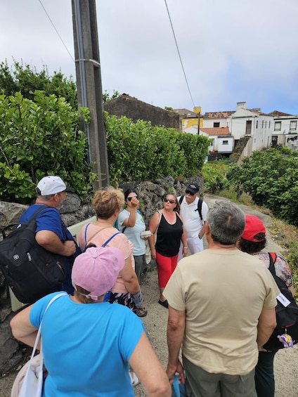 A group of people standing on a rocky path with greenery and buildings in the background. 3