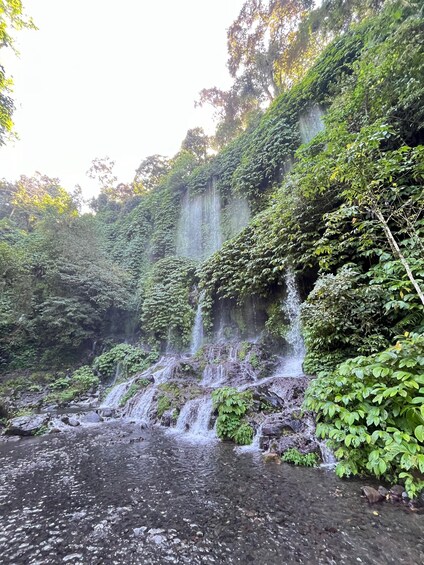Ein Wasserfall stürzt über Felsen in einen üppigen, grünen Wald. 5