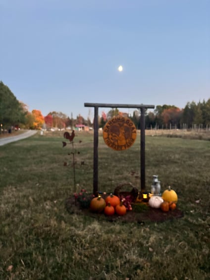 A pumpkin display with a sign in a park. 4