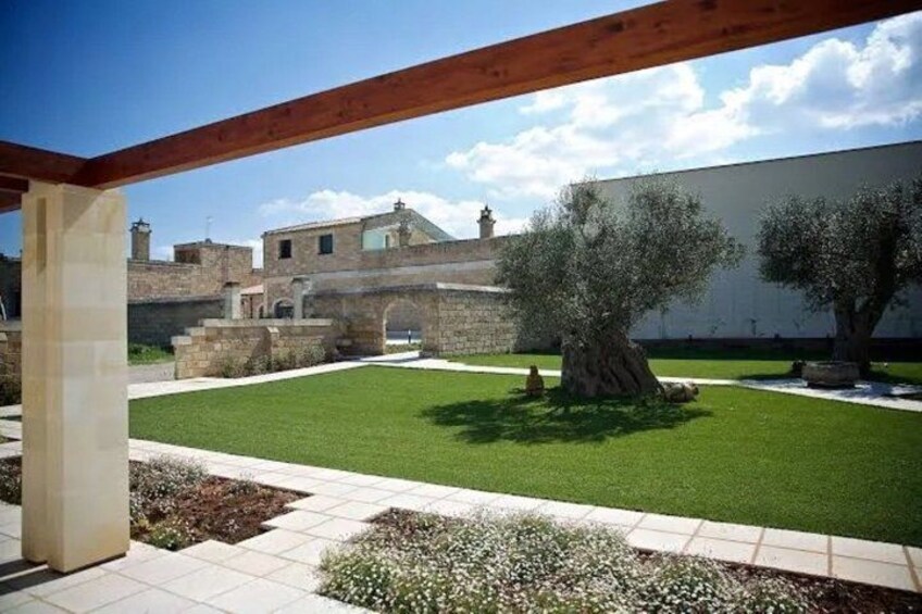 A courtyard with a wooden pergola, a large tree, and a stone building in the background. 4