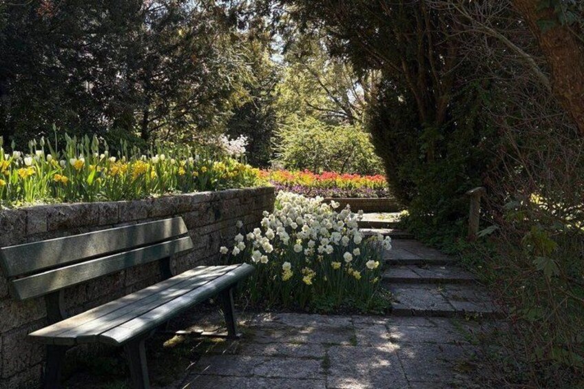 A stone bench, a flower bed with white flowers, and a stone pathway in a garden. 4