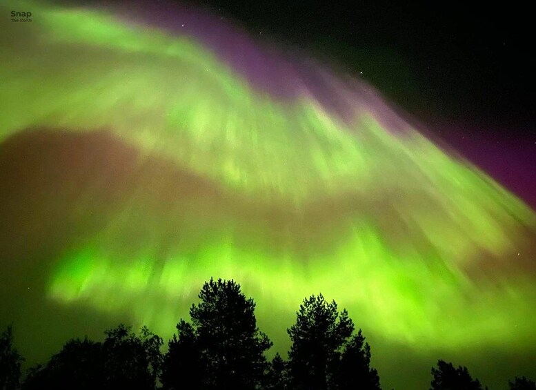 The Northern Lights over a forested landscape. 1