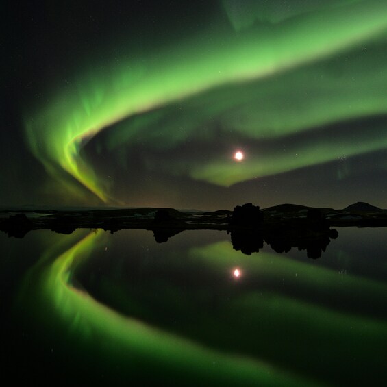 The Northern Lights reflecting on a calm body of water with a silhouette of a tree in the foreground. 3