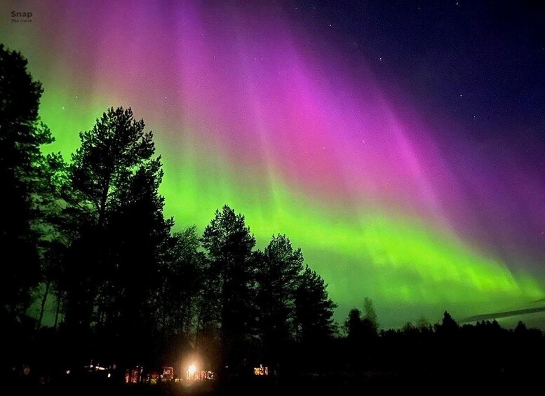 The Northern Lights over a forested area with visible trees and distant lights. 4