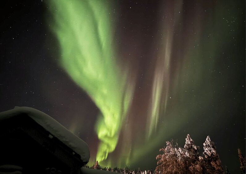 The Northern Lights over a snowy landscape with trees. 2