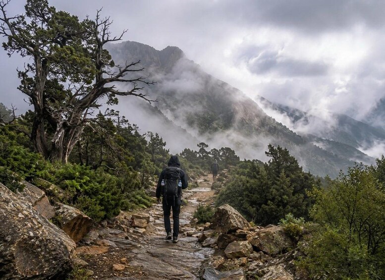 A hiker on a rocky trail surrounded by trees and mountains. 2