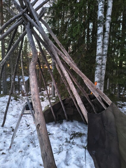 A wooden structure in a snowy forest with birch trees. 5