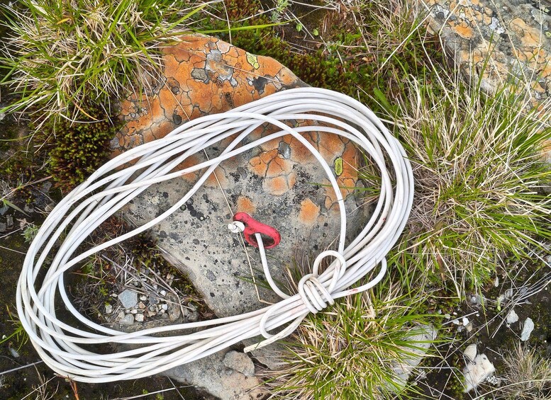 A white rope coiled on a rock surrounded by grass and small plants. 3