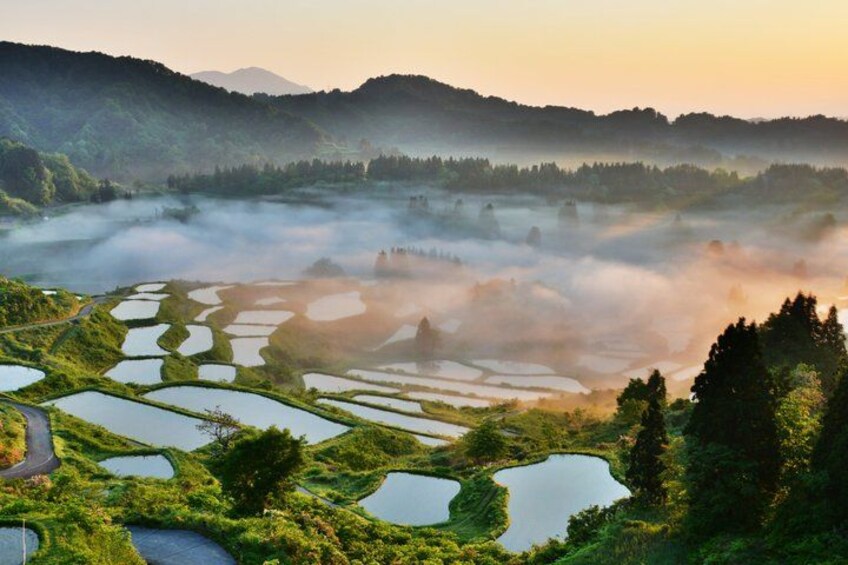 Terraced rice fields, a misty landscape, and distant mountains. 1