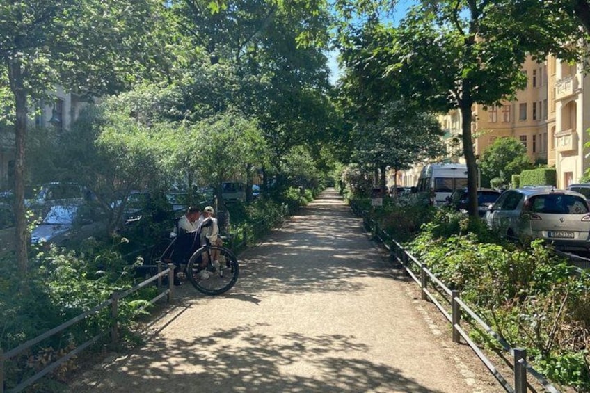A pathway lined with trees, a cyclist, parked cars, and residential buildings. 1