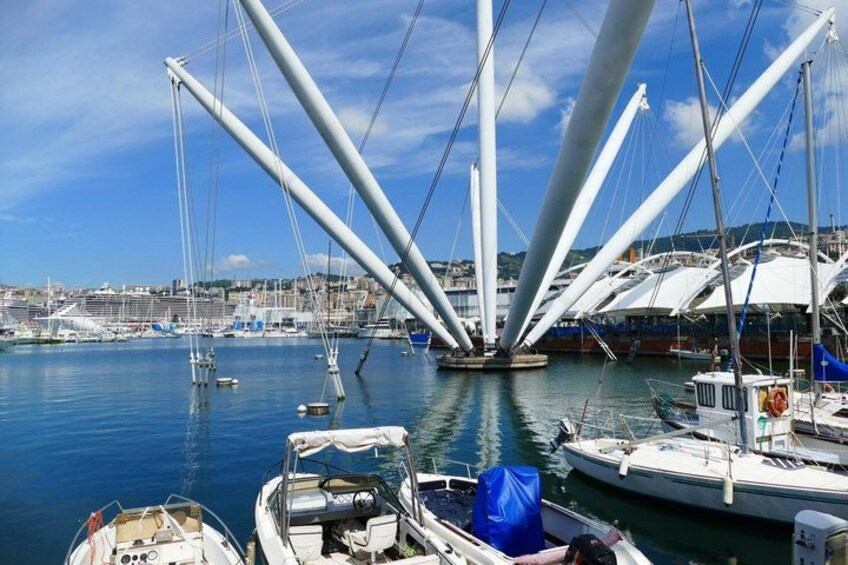 A marina with multiple boats docked, a large white bridge structure, and a cityscape in the background. 5