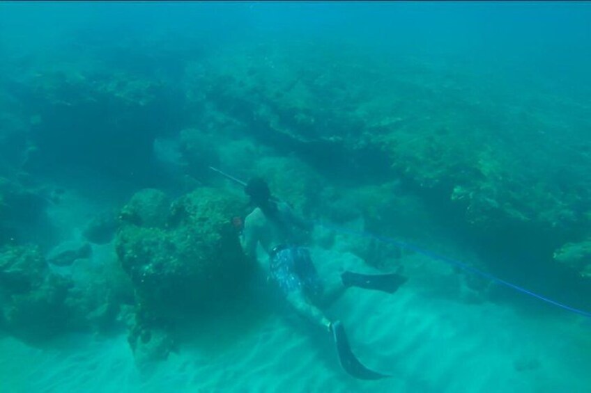 A diver exploring underwater ruins. 3