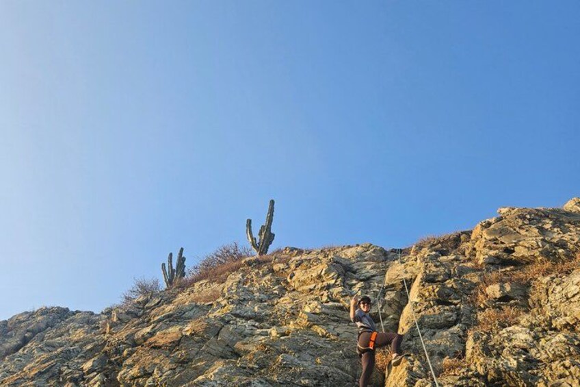 A rocky terrain with sparse vegetation and a clear sky. 3