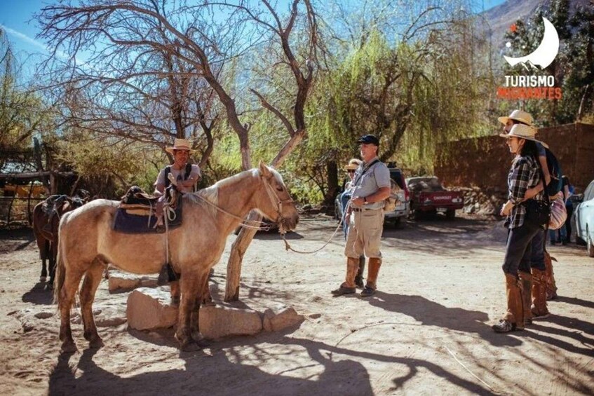 A person leading a horse, another person standing nearby, and a third person observing. 2
