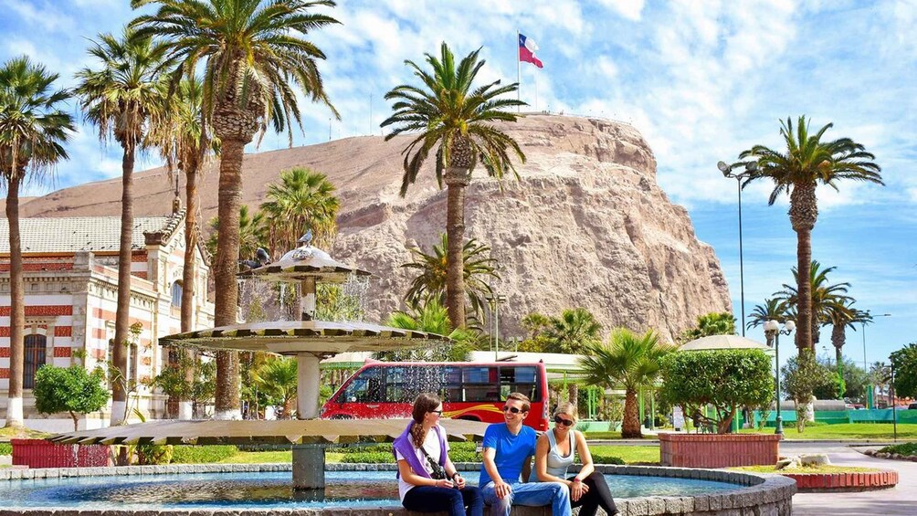 A fountain with water jets, palm trees, a large rock formation, and a flag. 1