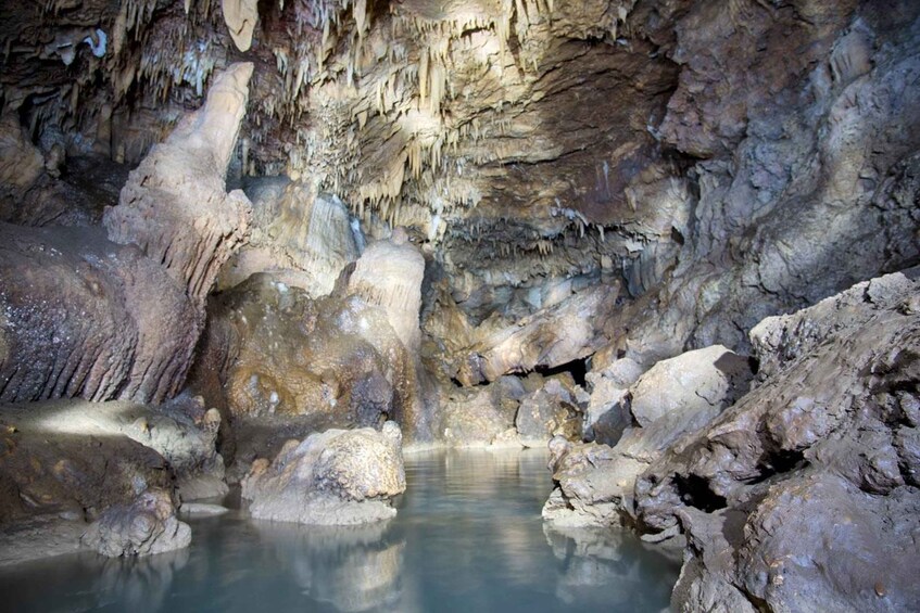 Picture 3 for Activity Siquijor: Waterfalls, Rivers, and Culture Guided Day Trip 3