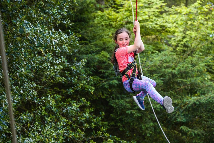 A person zip-lining through a forest. 2