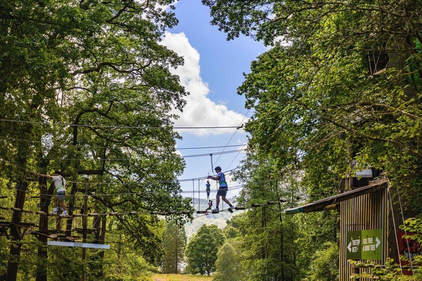 An outdoor adventure park with zip lines, trees, and a sign indicating different adventure trails. 3
