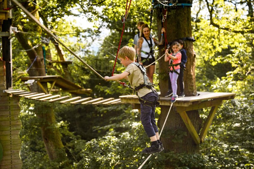 A person on a rope bridge in a forested area. 4