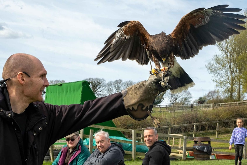 A person holding a bird of prey with outstretched wings. 5