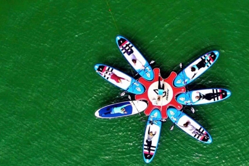 A circular arrangement of surfboards with various designs and a central emblem. 2