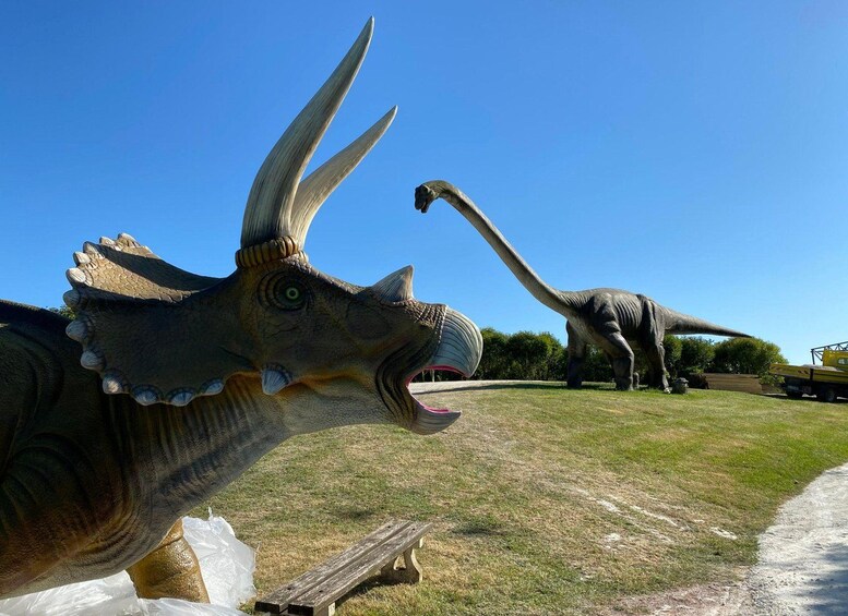Två dinosaurieskulpturer på en gräsklädd äng med en klarblå himmel. 1