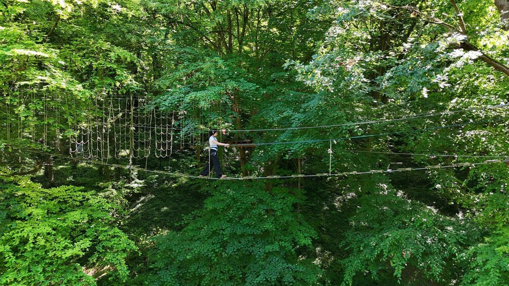 A person navigating a rope bridge in a dense forest. 2