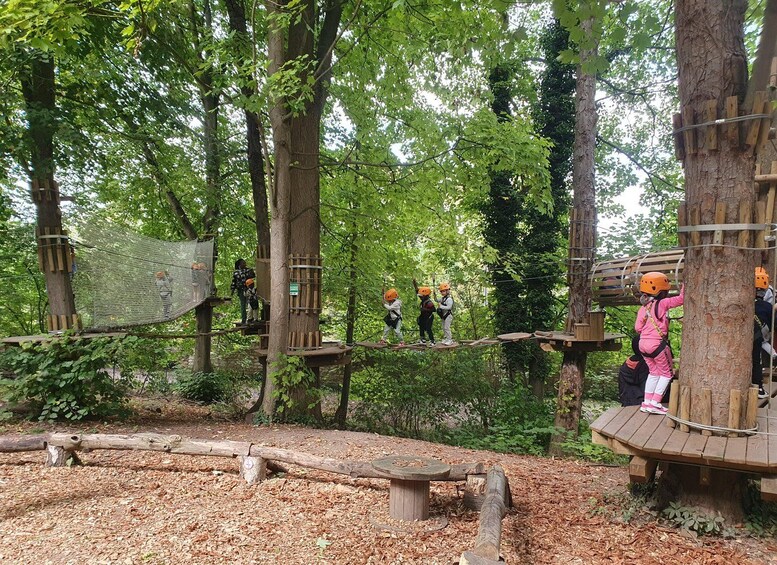 An outdoor adventure park with tree-based obstacle courses and wooden platforms. 3