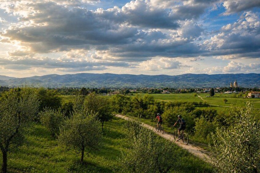 A rural landscape with a dirt path, cyclists, and distant mountains. 2