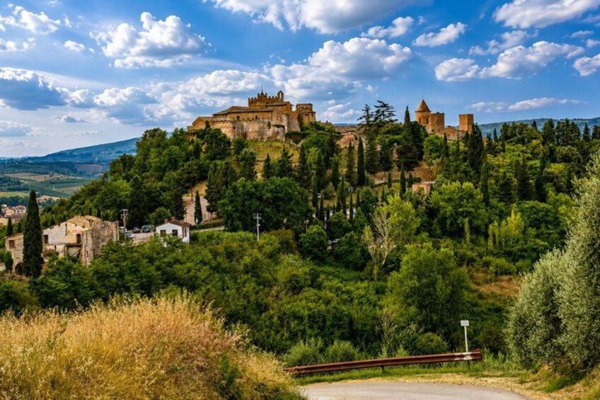 A historic castle on a hill, surrounded by lush greenery and ancient ruins. 4