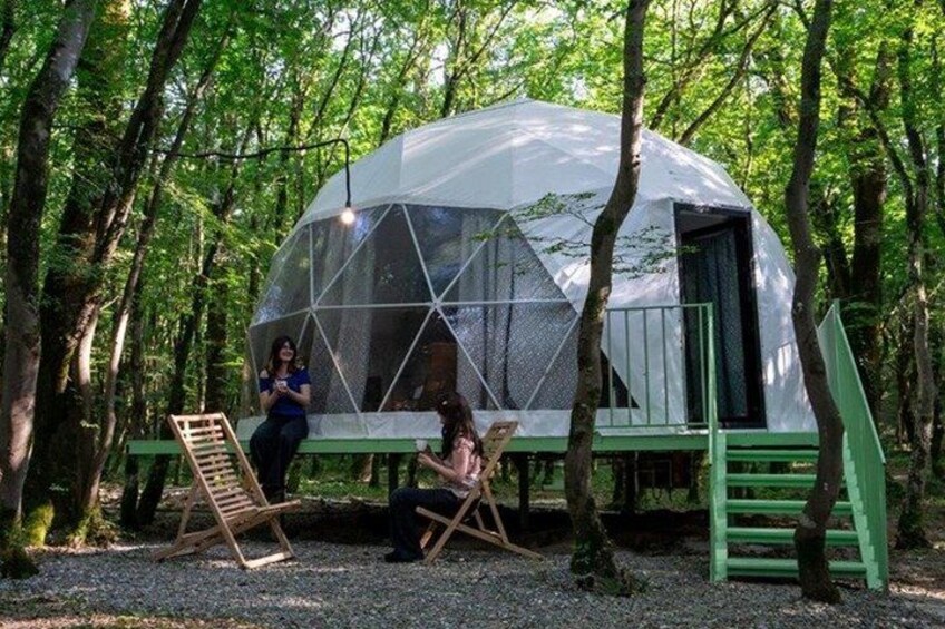 A geodesic dome structure in a forested area with a bench and a ladder. 5