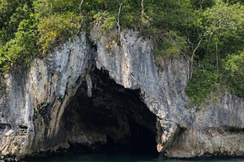 A natural cave entrance surrounded by vegetation. 4